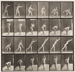 Placa 307. Arremessando um Disco de Ferro, 1872-1885