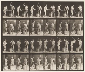 Placa 377. Ferreiro, Dois Modelos, Martelo em Advil, 1872-1885