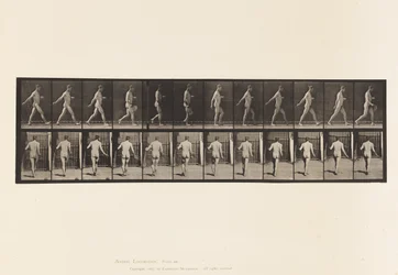 Placa 389. Agricultor, Semente de Dispersão, 1872-1885