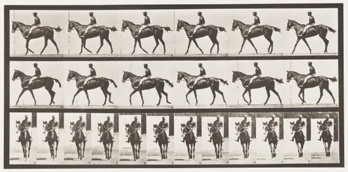 Placa 580. Andar; Selim; Baía de puro-sangue Mare Annie G., 1885