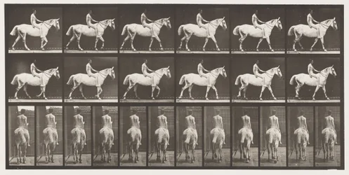 Placa 581.Walking; Bareback; Rider, 43, Nude; Cavaleiro Cinzento Claro, 1885