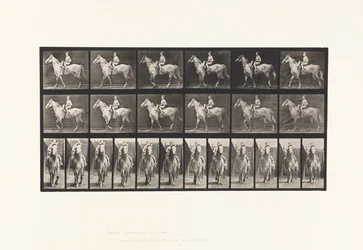 Prancha 583. Caminhar; sela; cavaleira; nu; cavalo cinzento, castanho-claro, 1885