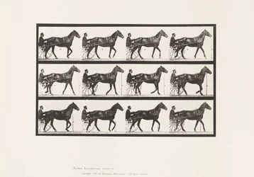 Placa 588. Andar; Sulky; Cavalo de Baía Reuben, 1885