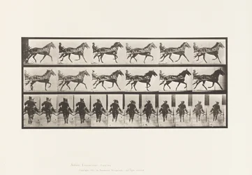 Prato 594. Rocking (Embalagem): Sulky; Brown Horse Pronto