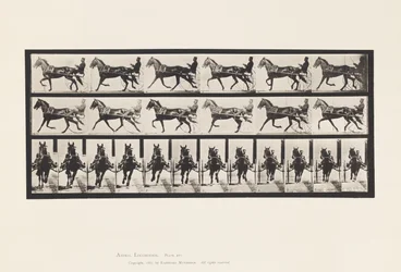 Prato 595. Rocking (Embalagem): Sulky; Brown Horse Pronto
