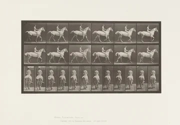 Placa 602.Trotting; Bareback; Cavaleiro, 43 anos, Nu; Cavaleiro Cinzento Claro, 1885
