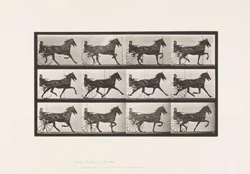 Placa 606. Trotting; Sulky; Bay Horse, Reuben