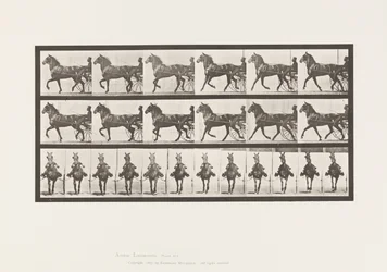 Placa 612. Trotador; Sulky; Bay Horse, Dereumd