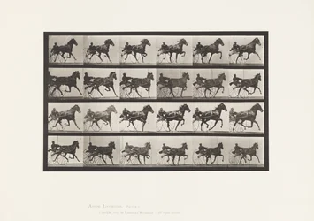 Placa 613. Trotting; Sulky; Sorrel Mare Nellie Rose
