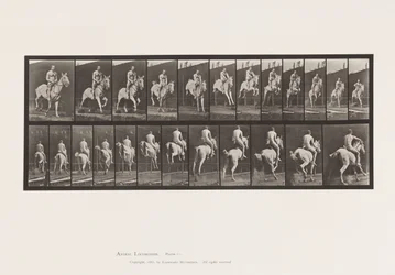 Placa 646. Saltando um Obstáculo; Selim; Cavaleiro, 105, Nu ;, 1885