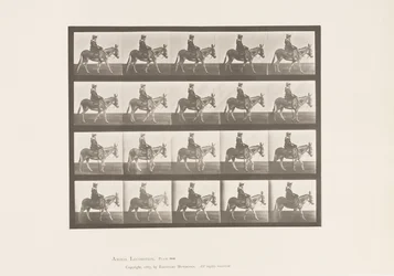 Placa 666. Rabo; Andar; Sela; Uma Rapariga a Montar, Jardim Zoológico