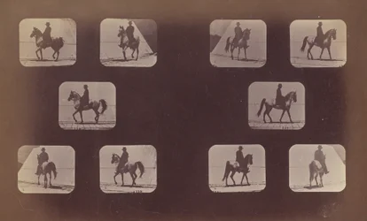 Estudos de escorços. Cavalos. Andando. Maomé. Nºs 119-120