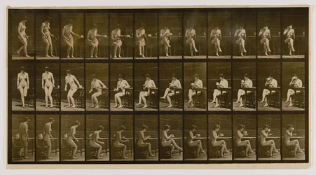 Mulher sentada, pernas cruzadas, bebendo de uma chávena de chá, do livro Animal Locomotion (Locomoção animal)