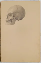 Anatomy Sketch Book, 1849 (caderno de desenho contendo desenhos em grafite)