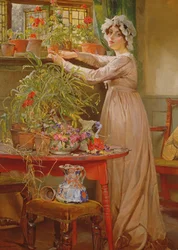 Arranjar Flores