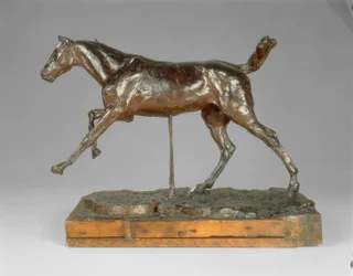 Cavalo galopando com o pé direito