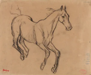 Cavalo a galope