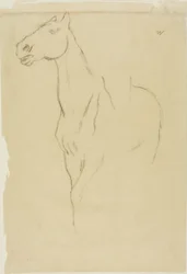 Cavalo transformado em três quartos