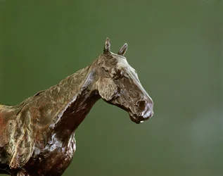 Cabeça de cavalo (bronze) (detalhe de 335585)