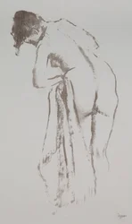 Mulher nua com toalha, em pé