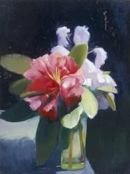 Rododendros