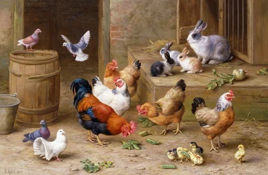 Amigos da quinta