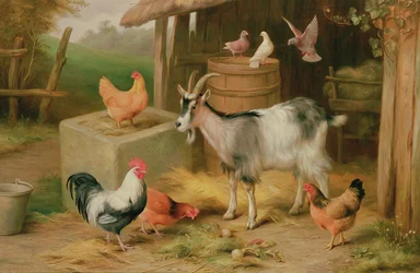 Cena de quinta