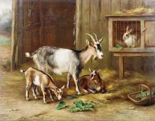 Cabras junto a uma coelheira