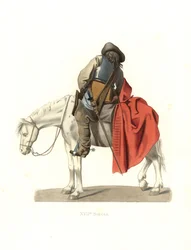 cavalaria francesa
