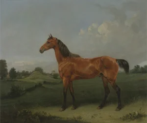 Um cavalo baio em um campo (óleo sobre tela)