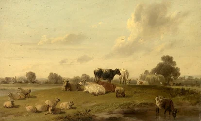 Paisagem, com, boiada, e, ovelha