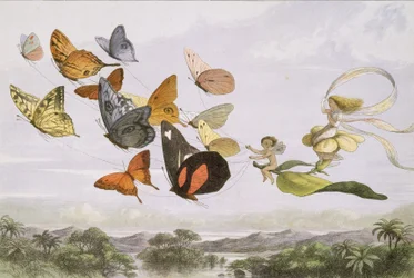Na Terra das Fadas: A Series of Pictures from the Elf-World, 1870.