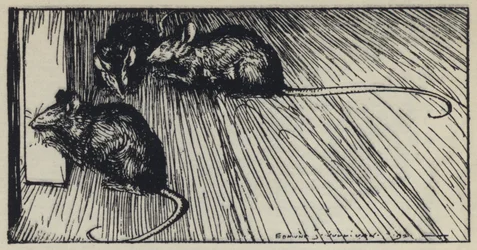 Ilustração para Tennysons Maud