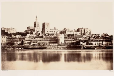 Avinhão