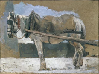 Cavalo atrelado