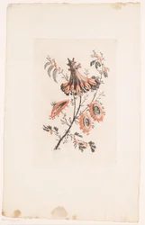 Flores de Parasol
Fleurs Idéalle (título da série)