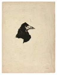 Cabeça de um corvo em perfil, de The Raven (Le Corbeau)