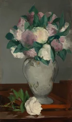 Peónias, 1864-65