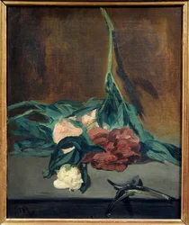 Vara de Peonies e secateur 