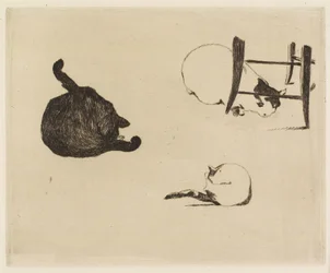 Os gatos, 1869