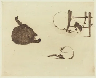 As conversas dos gatos Les, 1869.