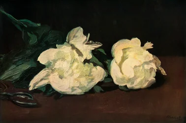 Peônias Brancas, 1864, 1937.