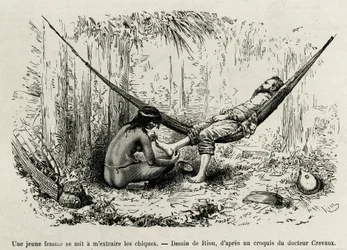 Uma jovem Roucouyan extrai os inimigos que transportaram os pés do explorador durante a noite. Gravura de Riou, para ilustrar a história de Cayenne aux Andes, de Jules Crevaux, médico da marinha francesa, em 1878-1879, publicada na revista Tour du monde, u