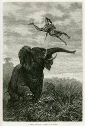 O caçador da Aley atira a uma milha de um elefante. Gravado por Riou para ilustrar a história Les lacs de l