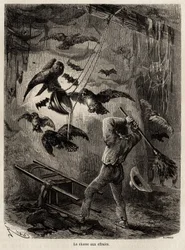 Caça às corujas refugiadas na igreja de Sarayacu (Peru), desenho de Riou, para ilustrar a viagem de Paul Marcoy do Oceano Pacífico ao Oceano Atlântico de 1848 a 1860. Gravura em "Le tour du monde", editado por Edouard Charton