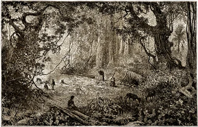 Instalação de um acampamento de exploradores na Guatemala (1882)