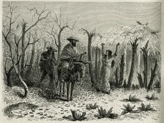 The Clouds of Grasshoppers of the Vallee du Upper Patia, com na mula o narrador da viagem, gravado por Riou, para ilustrar a história L