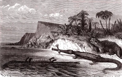 O Teleosaurus e o Hyleosaurus