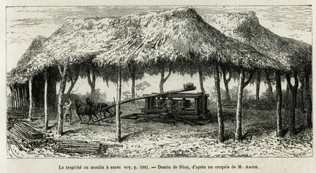 O trapiche, ou moinho de açúcar para moer as canas em Panche (Colômbia), desenho de Riou, para ilustrar a história da América Equinoxiale (Colômbia, Equador, Peru), em 1875-1876, de Ed. andre, encarregado de missão de viajantes pelo governo francês. Gravur