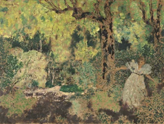 Misia na floresta, 1897-1899